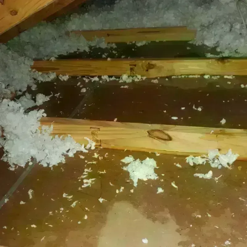 Attic Water Damage in Brownsburg, IN